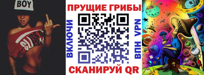 Купить где  Могоча  Псилоцибиновые грибы Cubensis 